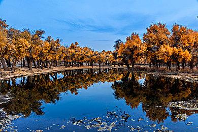 《战争机器：重装上阵》PC配置公开 推荐1070显卡